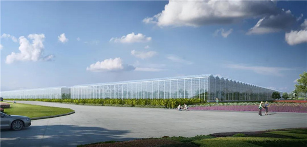 4.jpg 4.jpg